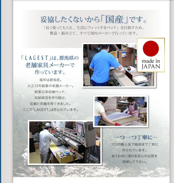 お客様組立 棚・コンセント付きチェストベッド Lagest ラジェスト ベッドフレームのみ シングル