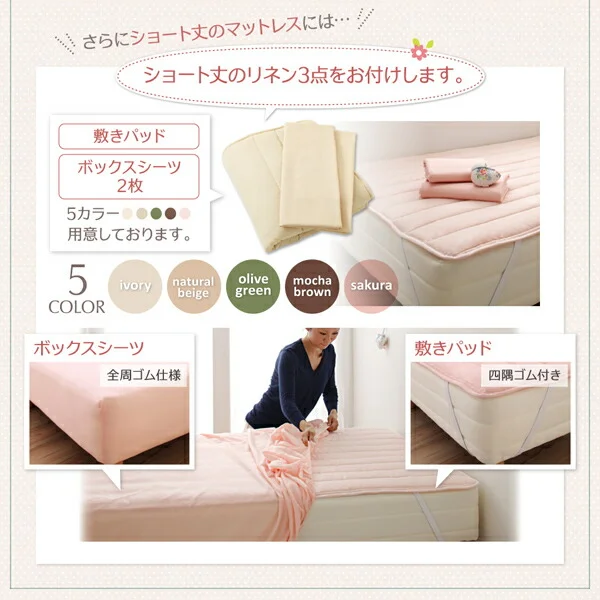 棚・コンセント付き収納ベッド Fleur フルール ベッドフレームのみ シングル レギュラー丈