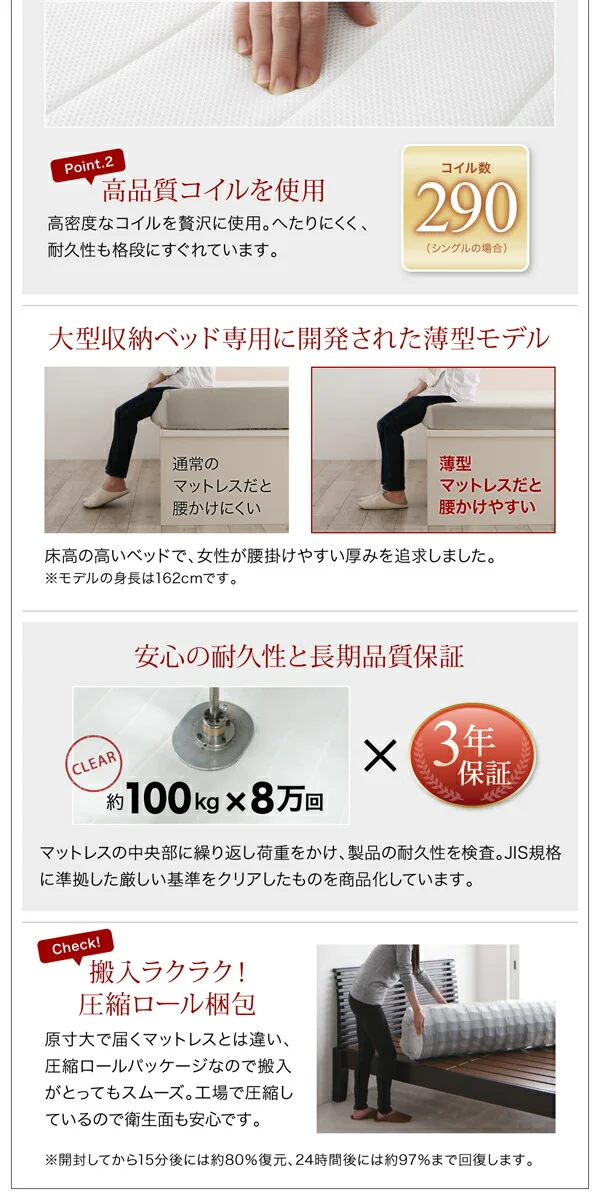 棚・コンセント付き収納ベッド Fleur フルール ベッドフレームのみ シングル レギュラー丈