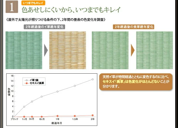 お客様組立 美草・日本製_大容量畳跳ね上げベッド Sagesse サジェス シングル 深さレギュラー