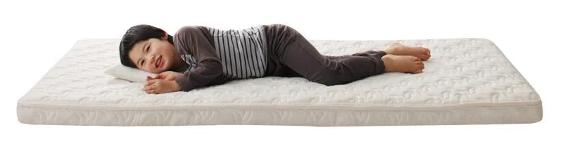 子どもの睡眠環境を考えた 日本製 安眠マットレス 抗菌・薄型・軽量 ジュニア 国産ポケットコイル EVA エヴァ セミシングル ショート丈