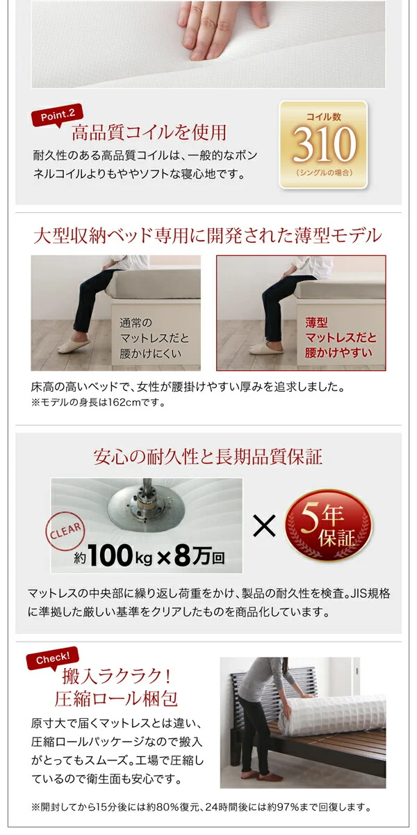 衣装ケースも入る大容量デザイン収納ベッド SCHNEE シュネー ベッドフレームのみ 引き出しなし シングル
