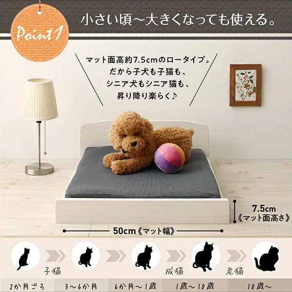 ミニチュアサイズが可愛い木製ペットベッド Catnel キャトネル ベッドフレームのみ