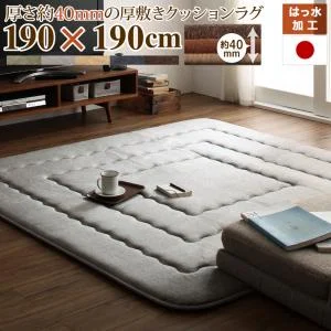 厚み40mmのふっくら厚敷きクッションラグ Vermeer フェルメル 130×190cm
