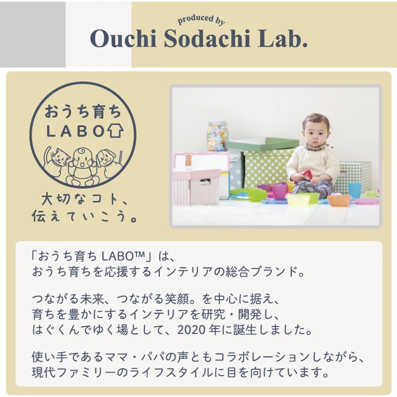 ジョイントマット いろ・いろフィット 45cm角 10mm厚 尺五 12枚 1.5畳
