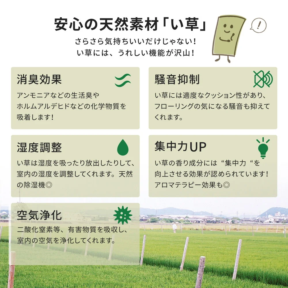 い草カーペット 白馬(はくば) 江戸間 1畳(87×174)