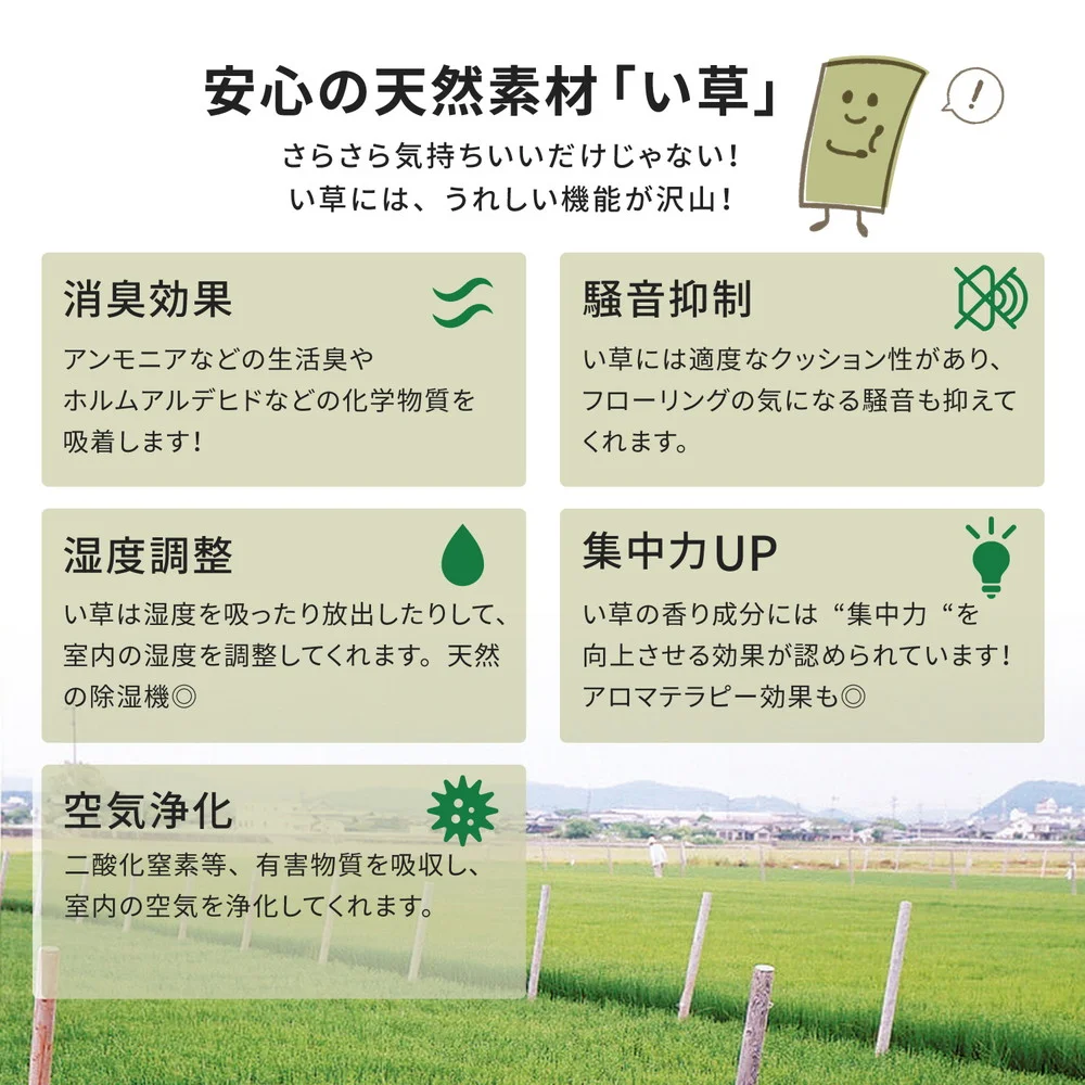い草カーペット 柳川(やながわ) 江戸間 1帖(87×174)