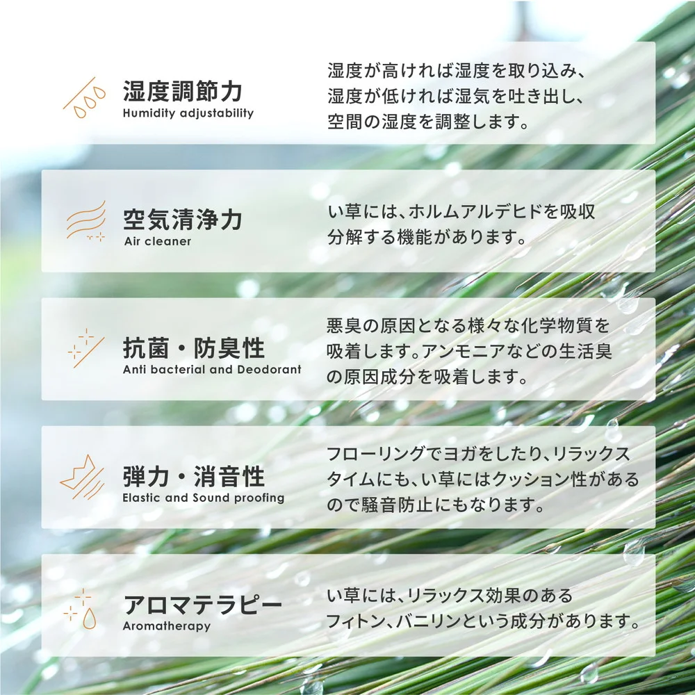 い草ラグ フェアリー 191×191cm