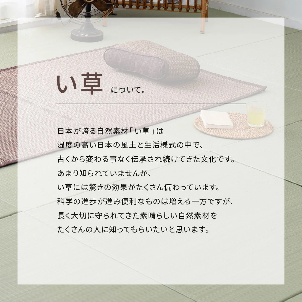 い草ラグ 南風 191×191cm