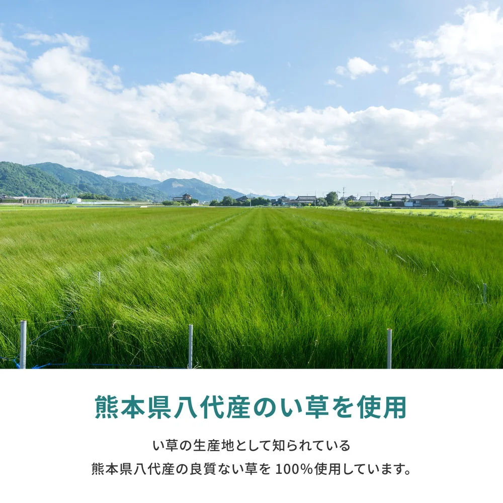 国産い草カーペット 天草 江戸間 1帖(87×174)