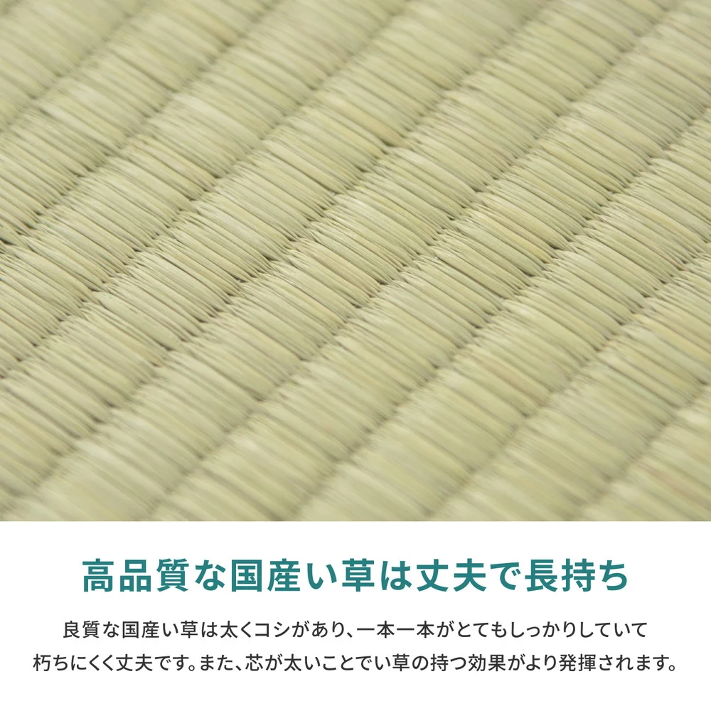 国産い草カーペット 天草 江戸間 1帖(87×174)
