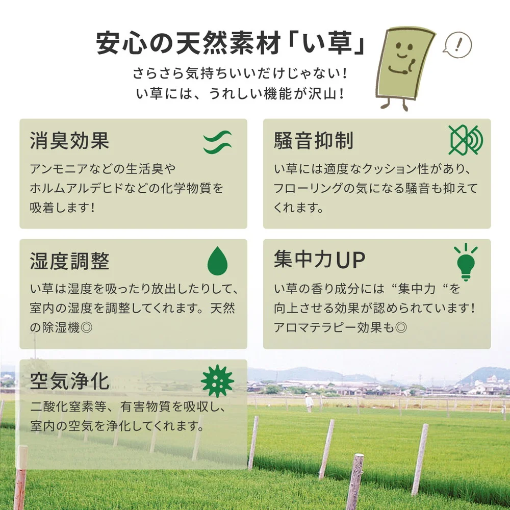 国産い草カーペット 天草 江戸間 1帖(87×174)