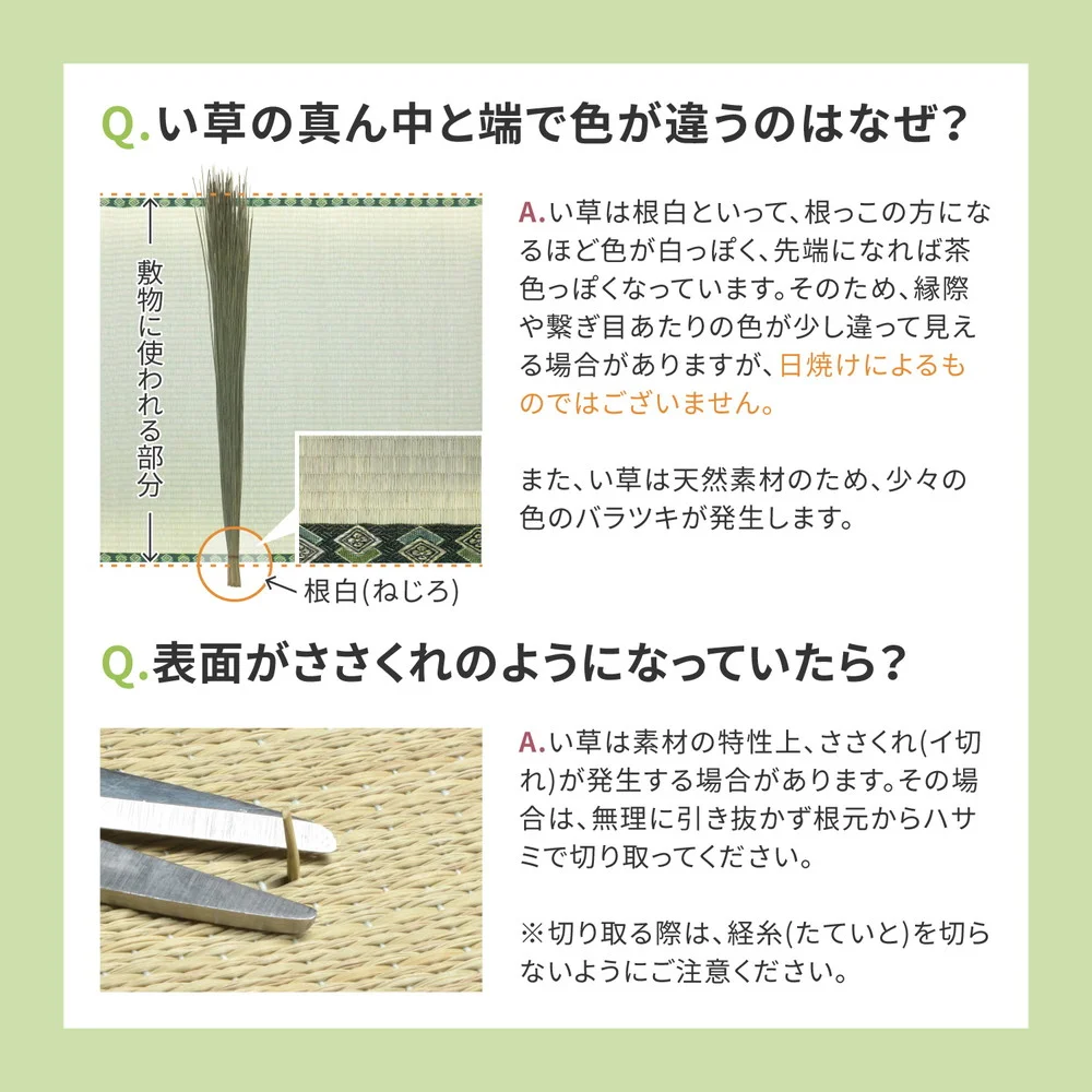 国産い草カーペット 天草 江戸間 1帖(87×174)