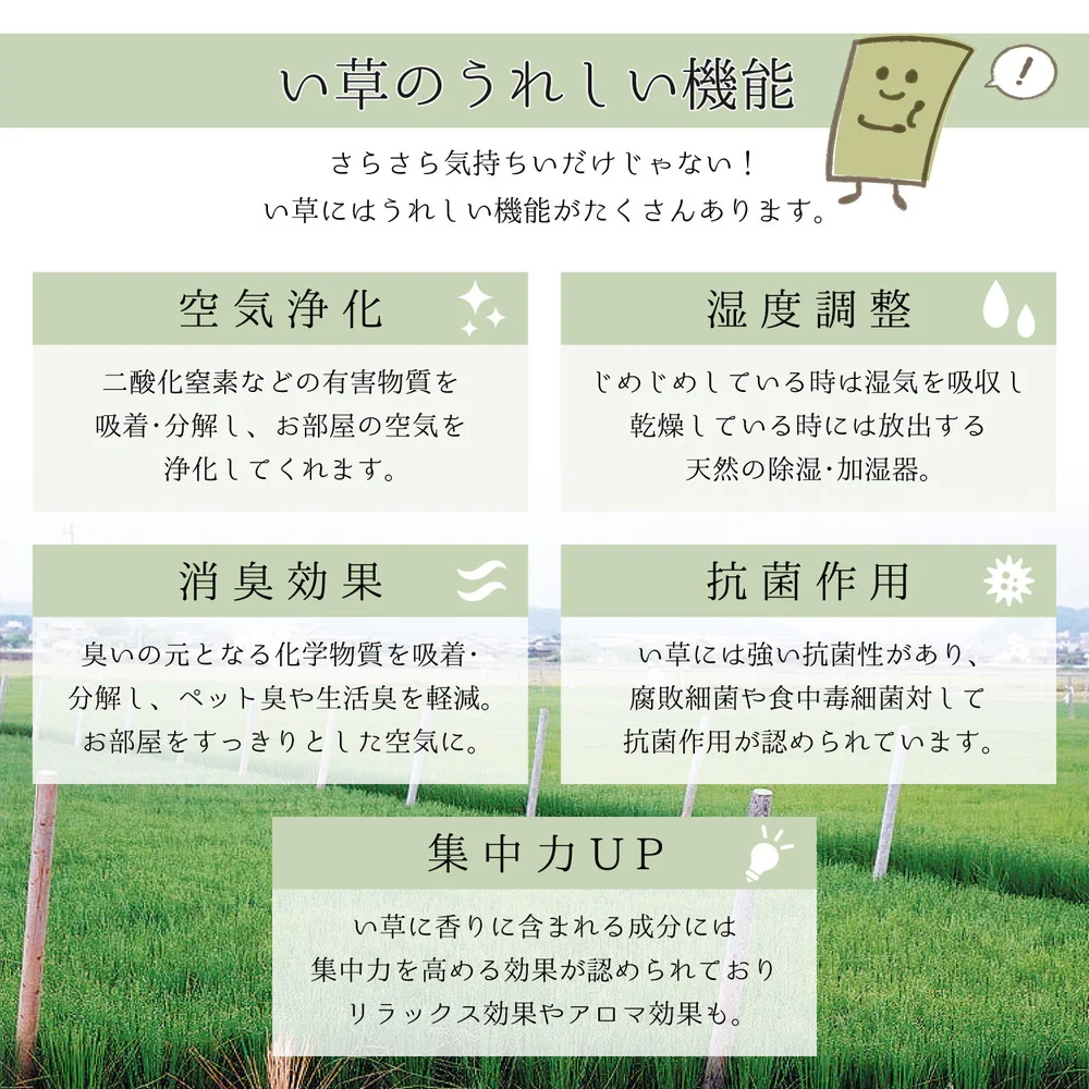 国産い草ラグ(裏貼り) エンペラー 200×200cm