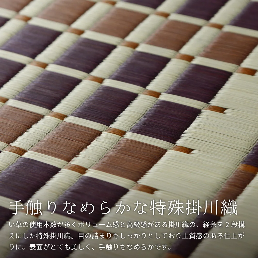 国産い草ラグ(裏貼り) 築彩(ちくさい) 191×191cm