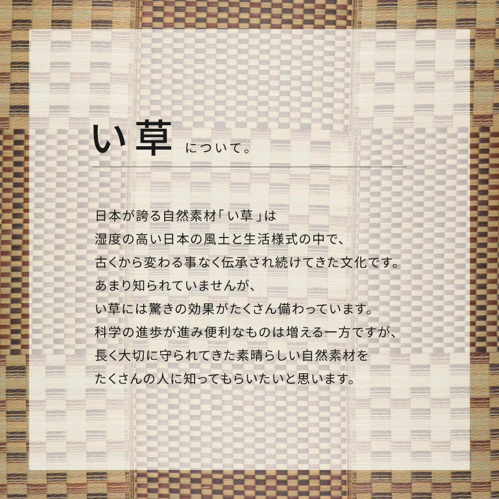 収納簡単 い草ふっくらラグ キハチ 120×180cm