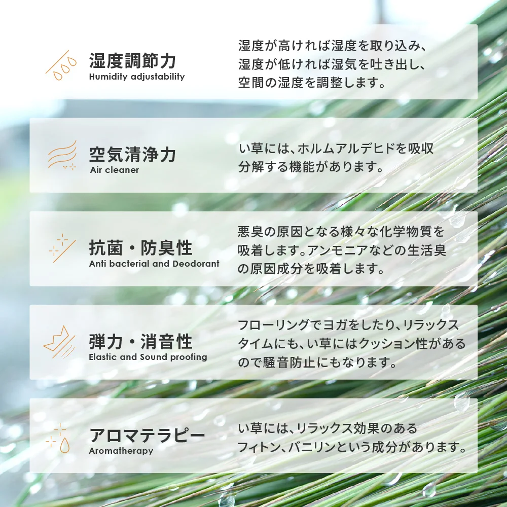 収納簡単 い草ふっくらラグ 仙名 180×180cm
